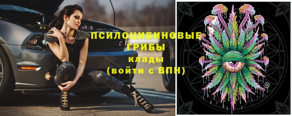 spice Абдулино