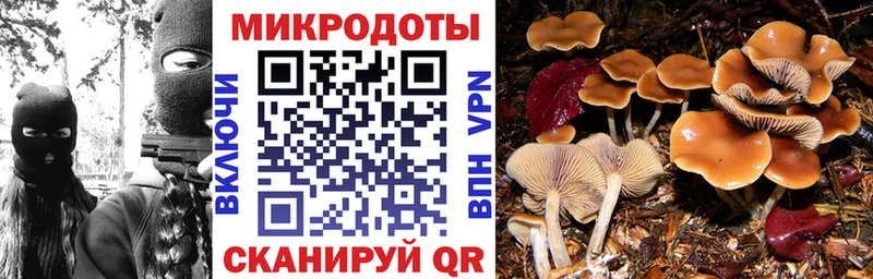 купить наркотик  Норильск  Галлюциногенные грибы MAGIC MUSHROOMS 