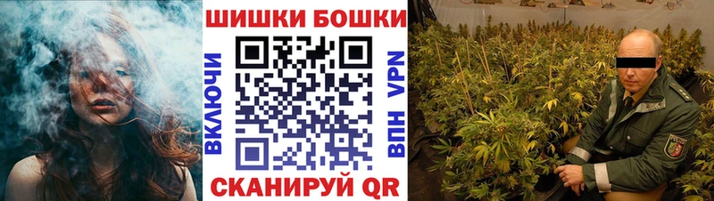 Конопля гибрид  Норильск 